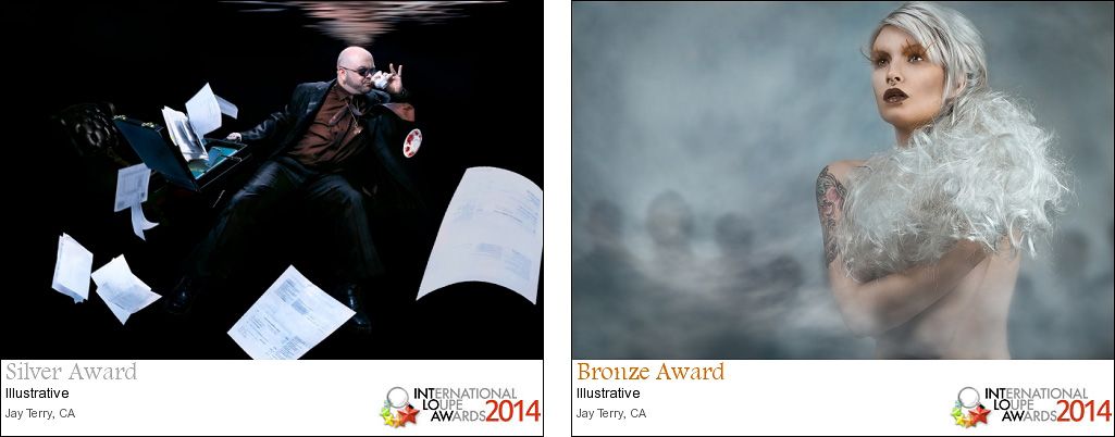Silver and Bronze Awards in Illustrative